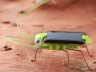 Solar grasshopper Educational Solar Powered Grasshopper Robot Toy required Gadget Gift solar toys No batteries for kids afbeelding 1