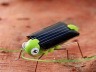 Solar grasshopper Educational Solar Powered Grasshopper Robot Toy required Gadget Gift solar toys No batteries for kids afbeelding 2